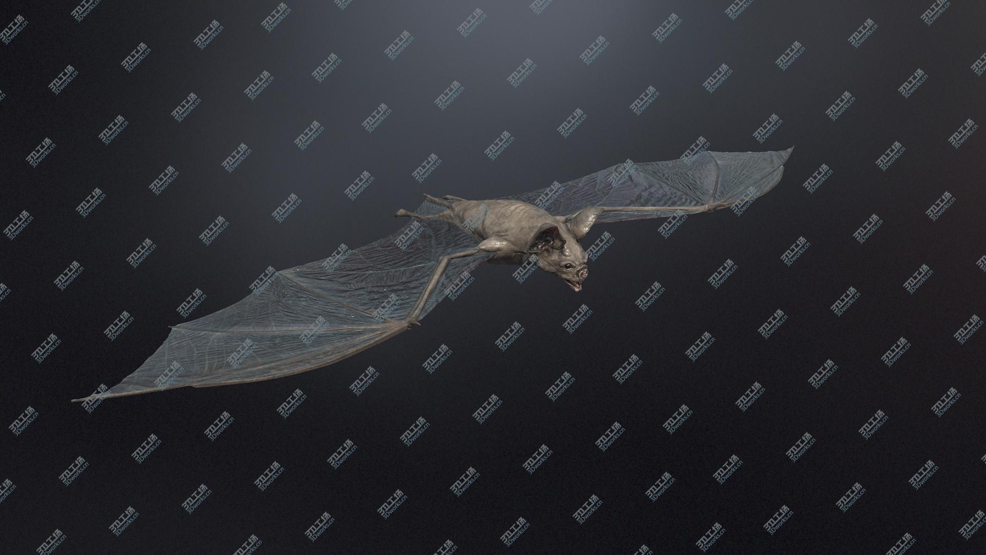 images/goods_img/2021040232/Vampire Bat/2.jpg
